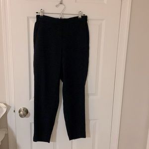 Navy J Crew Fac Jamie Pant